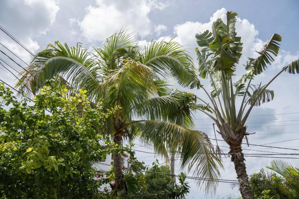Villa Caribe Bayahíbe Eksteriør billede