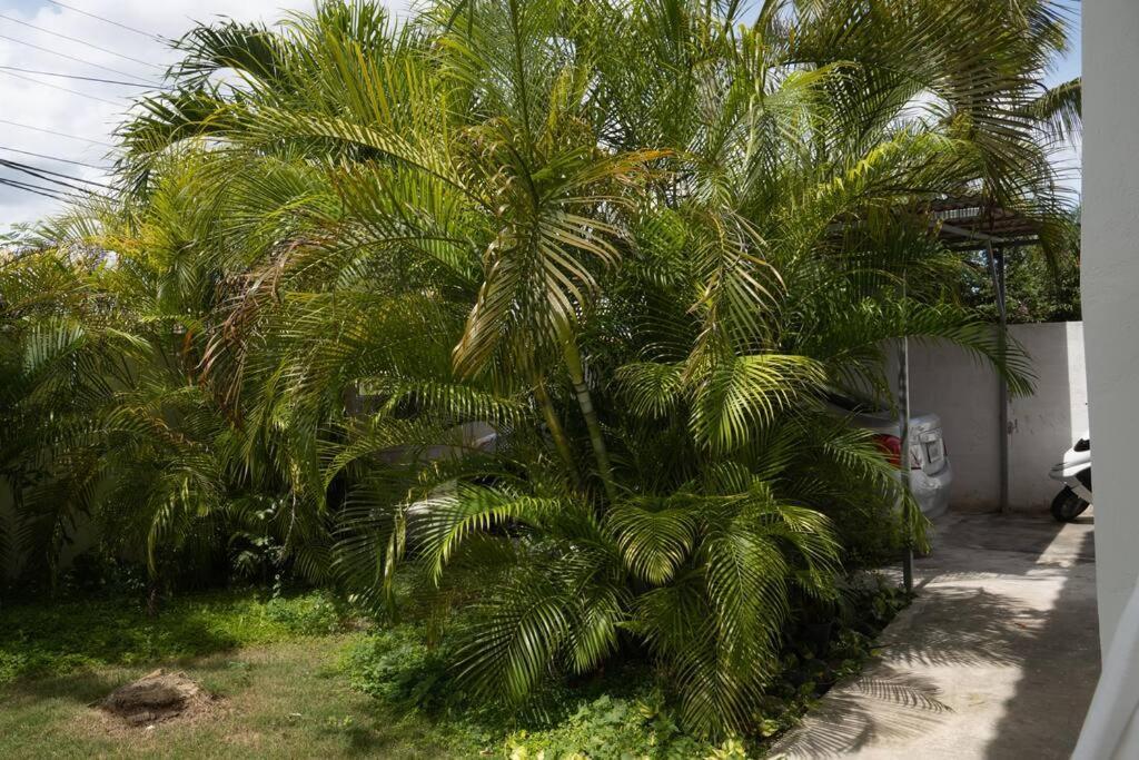 Villa Caribe Bayahíbe Eksteriør billede