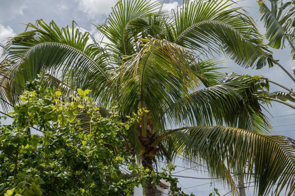 Villa Caribe Bayahíbe Eksteriør billede